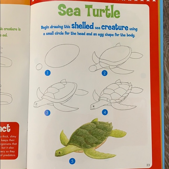 Set of 2 Learn to Draw Books - Picture 5 of 6